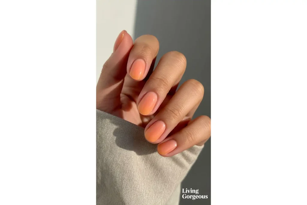 Zao Makeup Lakovi